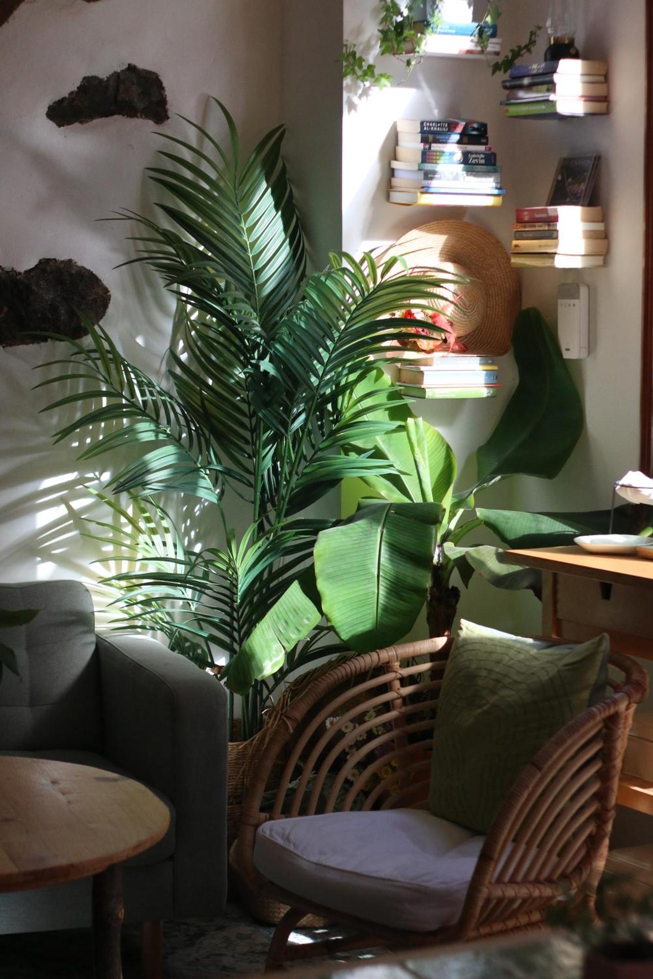 Отель Banana Garden La Palma Санта-Круз-де-ла-Пальма Экстерьер фото